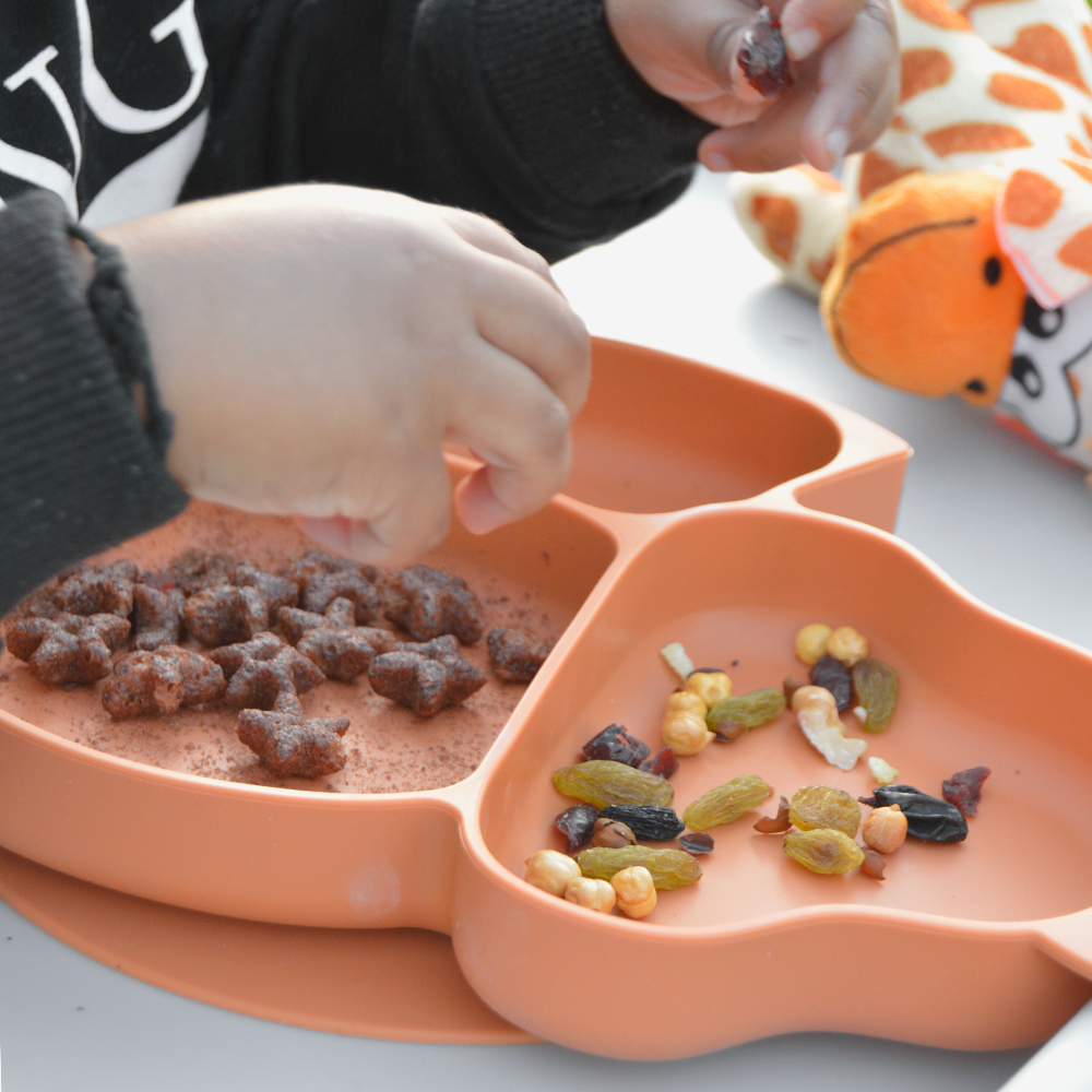 Tackling Toddlers Mealtime Maze and Discovering The Secrets of Successful Nutrition! - BB