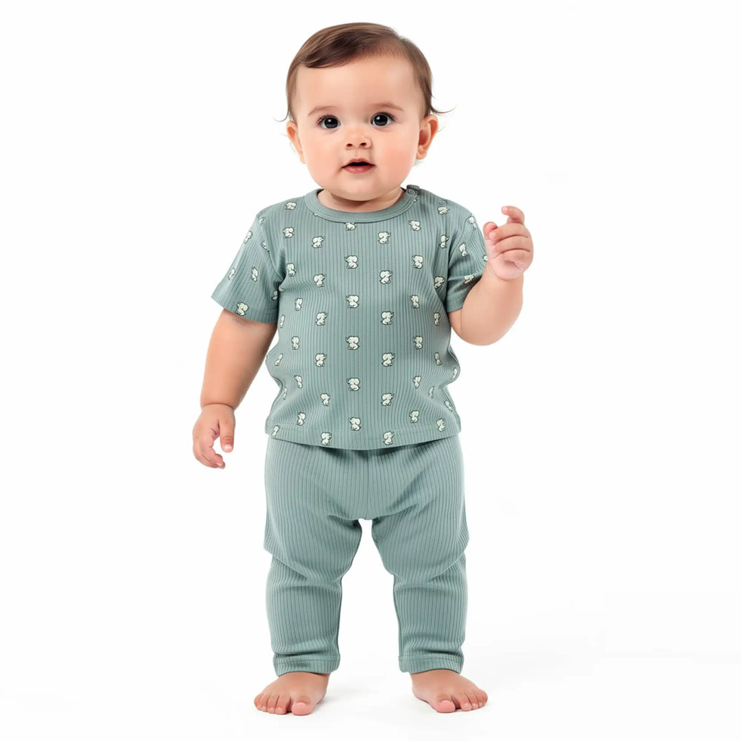 Babies Basic Ribbed Cotton Printed Short Sleeves T-shirt and Pyjama Set