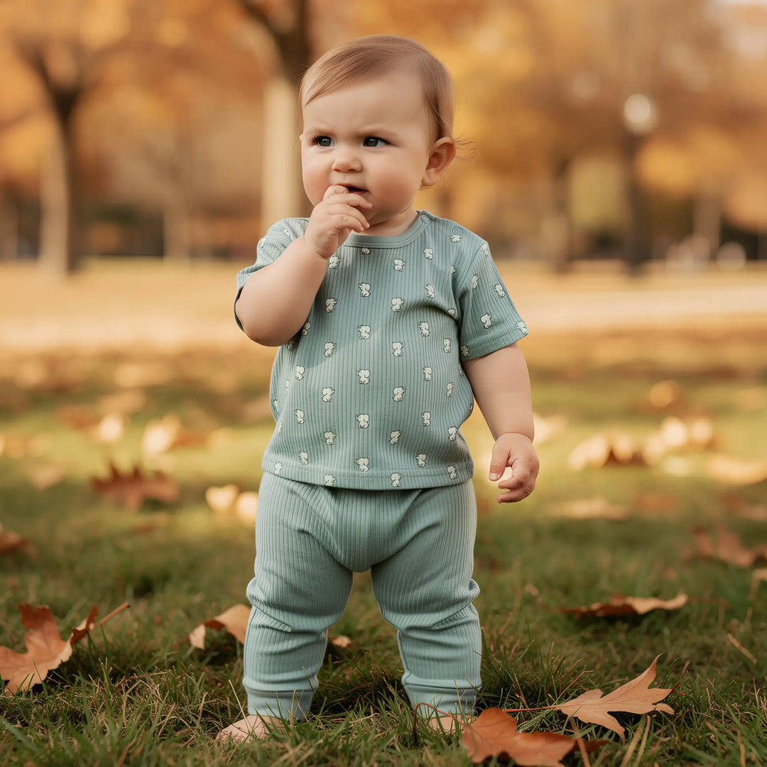 Babies Basic Ribbed Cotton Printed Short Sleeves T-shirt and Pyjama Set