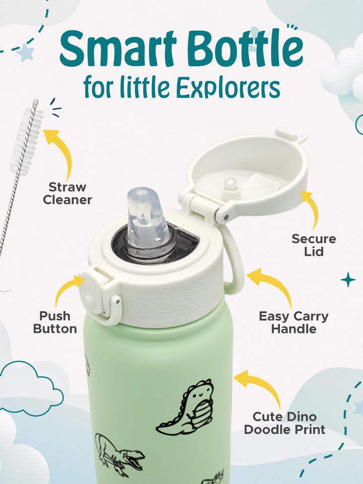 Babies Basic Insulated Bento Lunchbox with Stainless Steel Bottle, 3+ Years - Green - Dinosaur